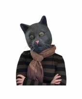Feest masker poes